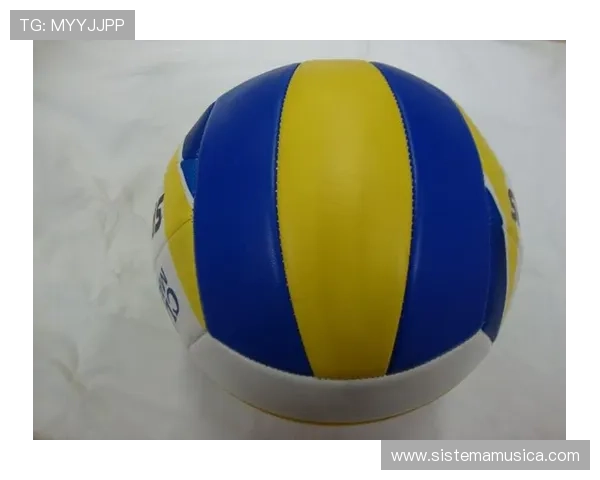 新爱体育官方旗舰店：专业运动装备与运动配件一站式购买的理想选择